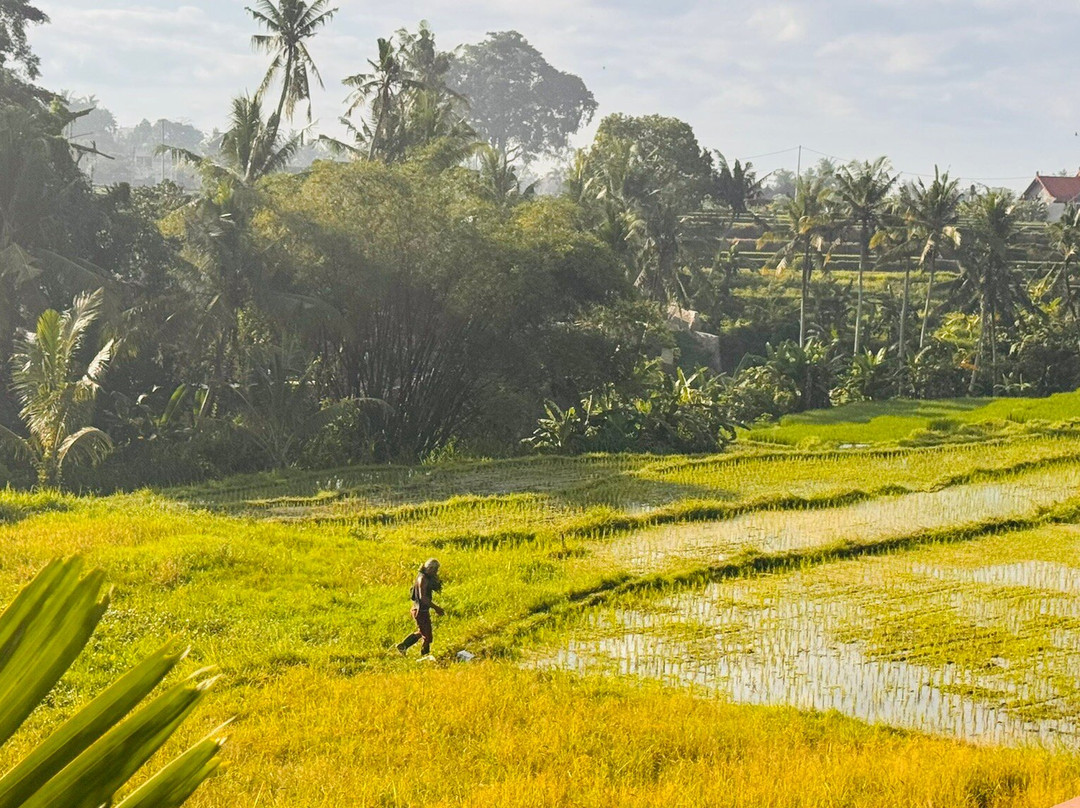 Green Field Resort Ubud主图