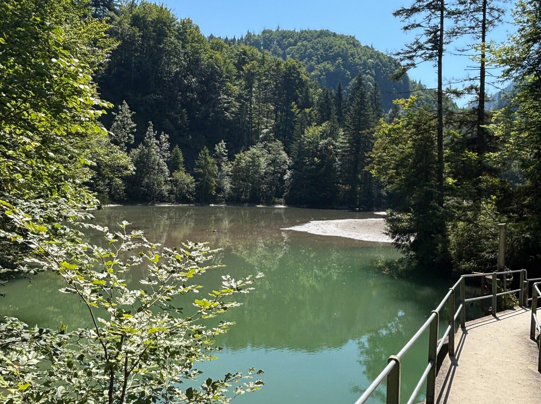 Rappenlochschlucht-多恩比恩必去景点