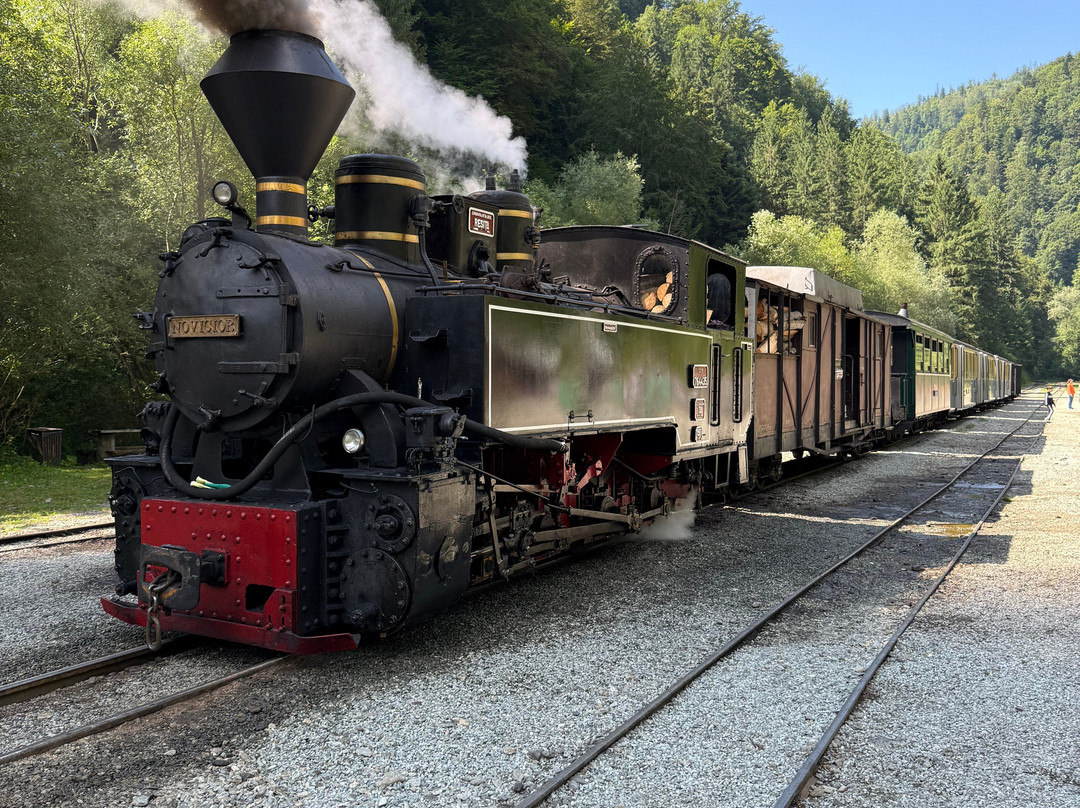 Mocanita Maramures - Viseu De Sus-Viseu de Sus必去景点