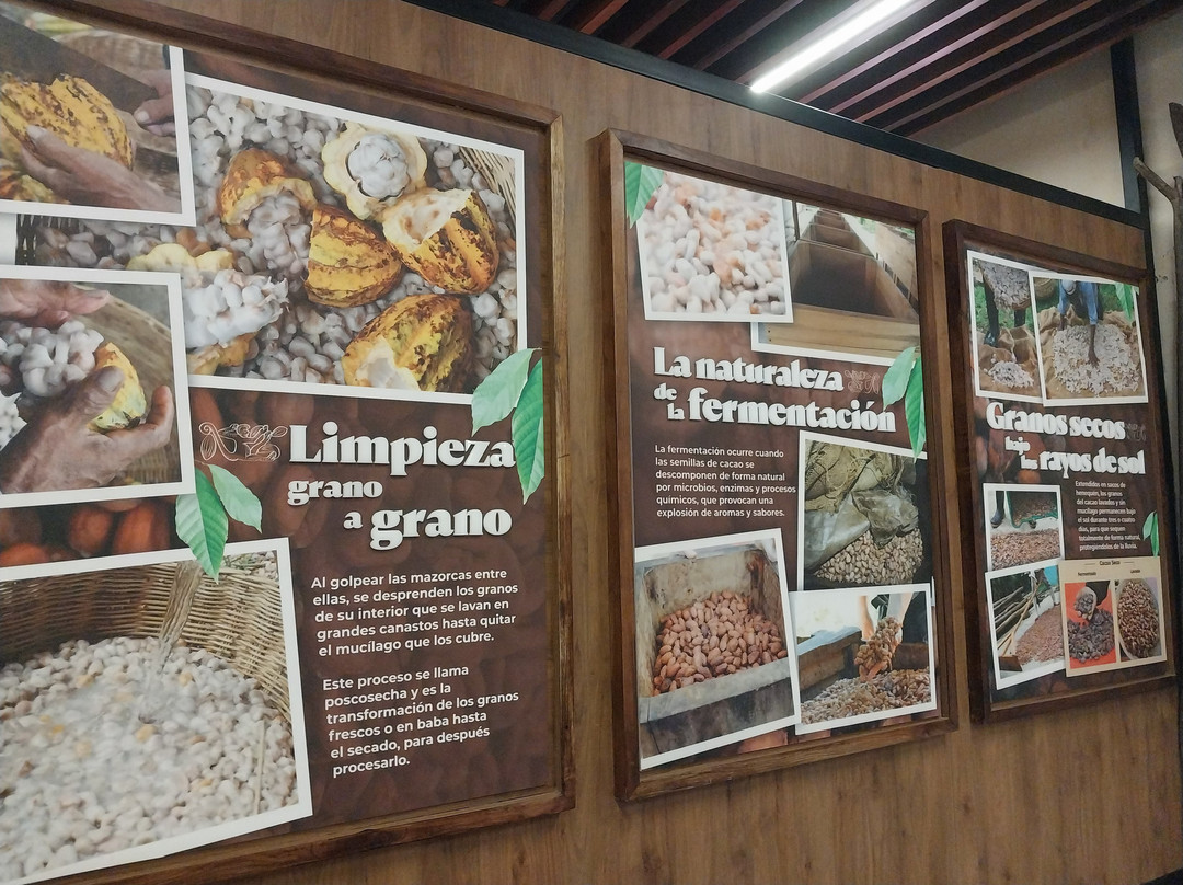 Casa Universitaria Cacao y Chocolate-Villahermosa必去景点