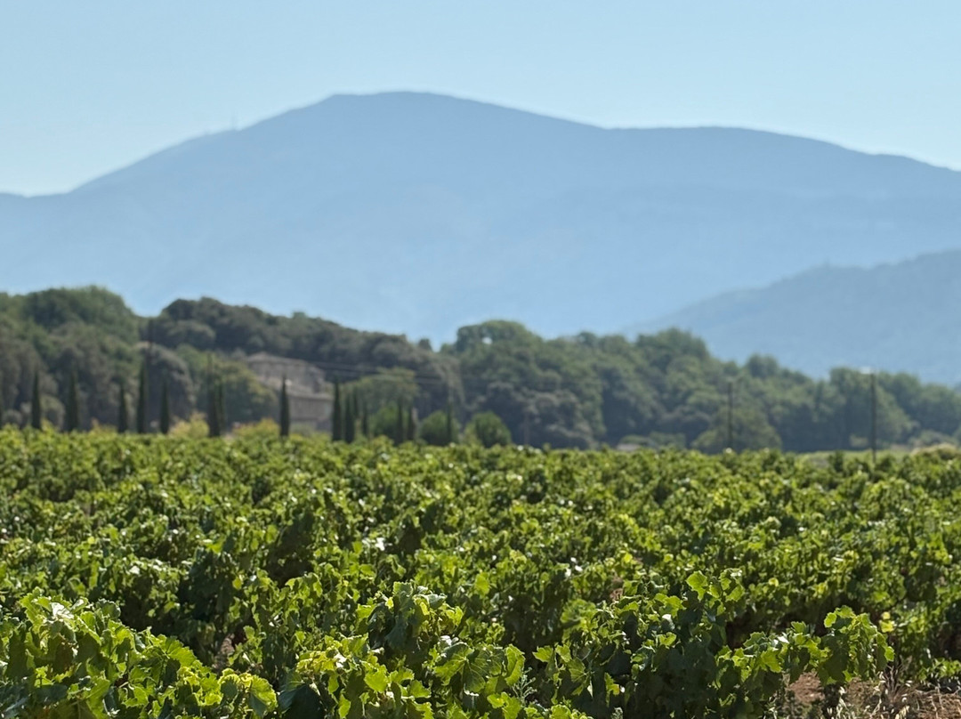 Sun-E-Bike-韦松拉罗迈纳必去景点
