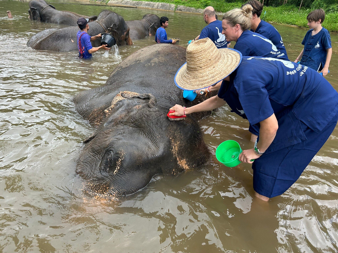 Kanta Elephant Sanctuary-清迈必去景点