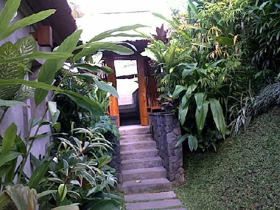 乌布玛雅度假村主图