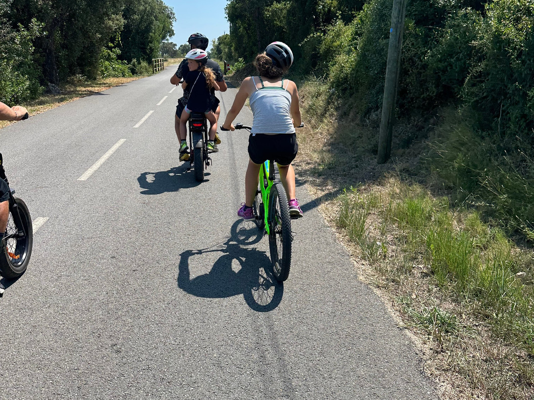 Sol In Bike-Solaro必去景点