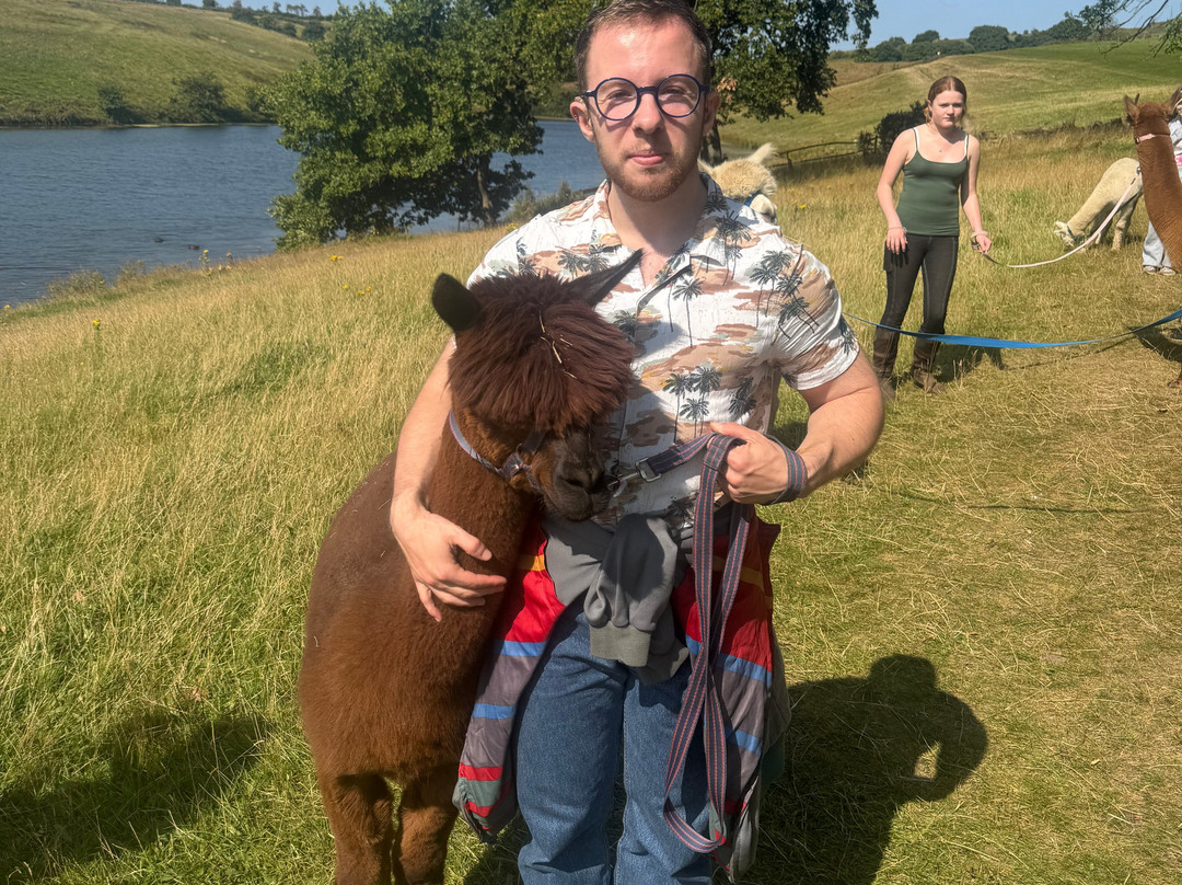 Meadowcroft Farm Alpacas-Bury必去景点