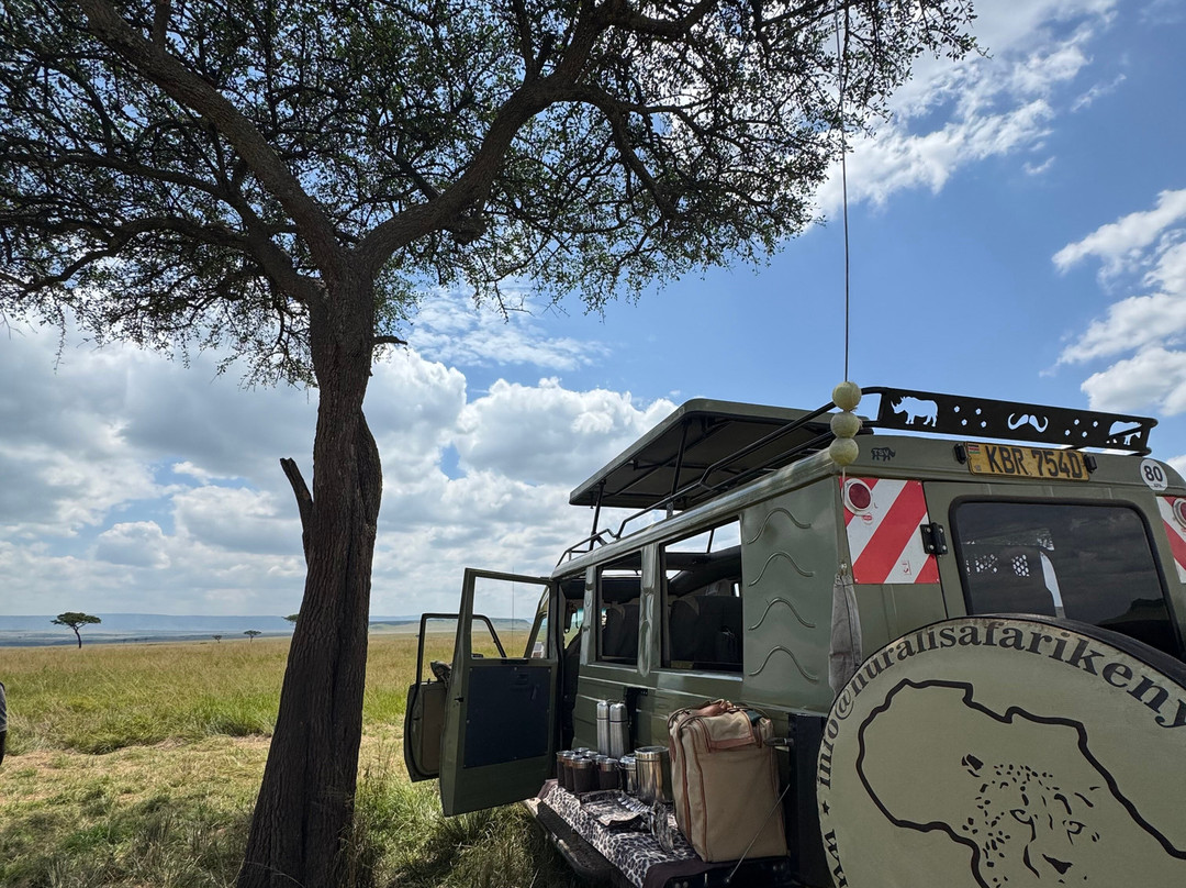 Nurali Safaris Kenya-马林地必去景点