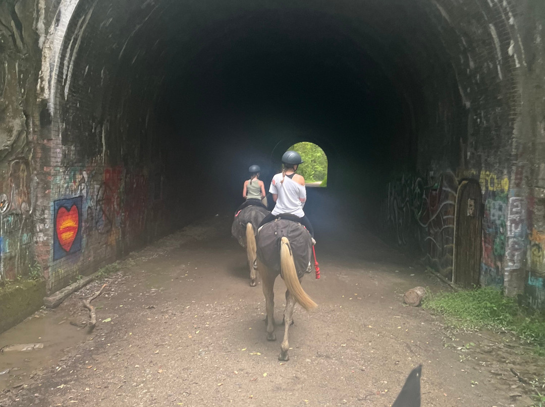 Uncle Buck's Riding Stable-New Marshfield必去景点