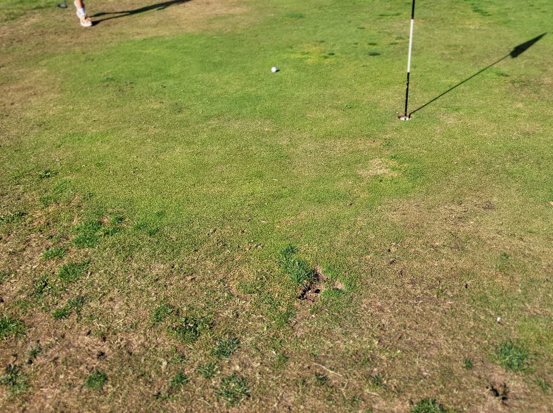 Fynn Valley Golf Club-伊普斯威奇必去景点