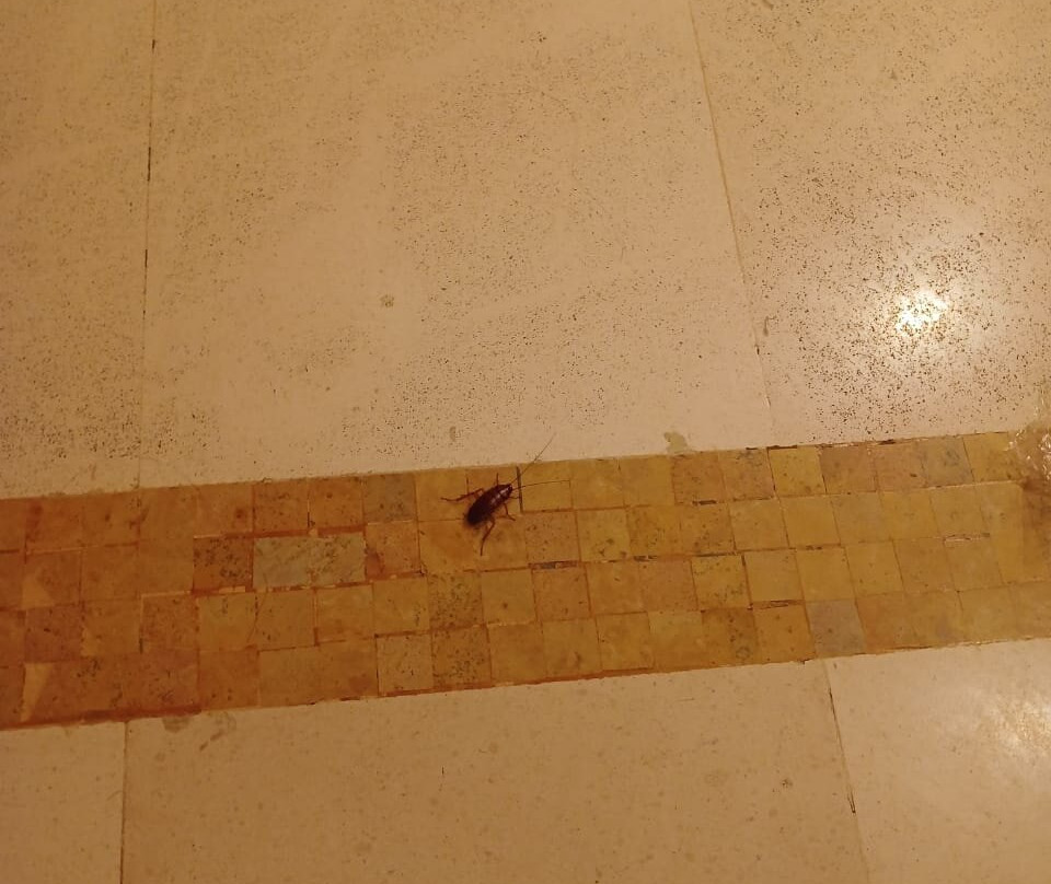 L'Amphitrite Palace Beach Hotel主图