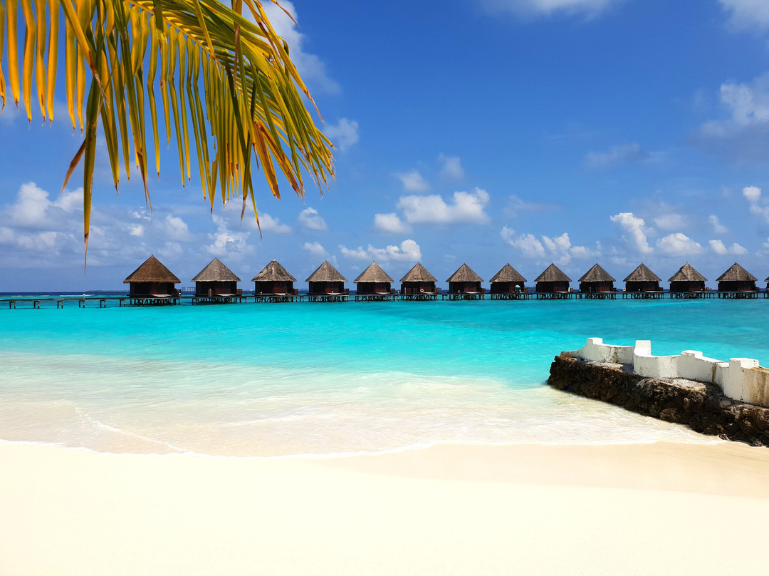 S&Y Tours and Travel-马累必去景点