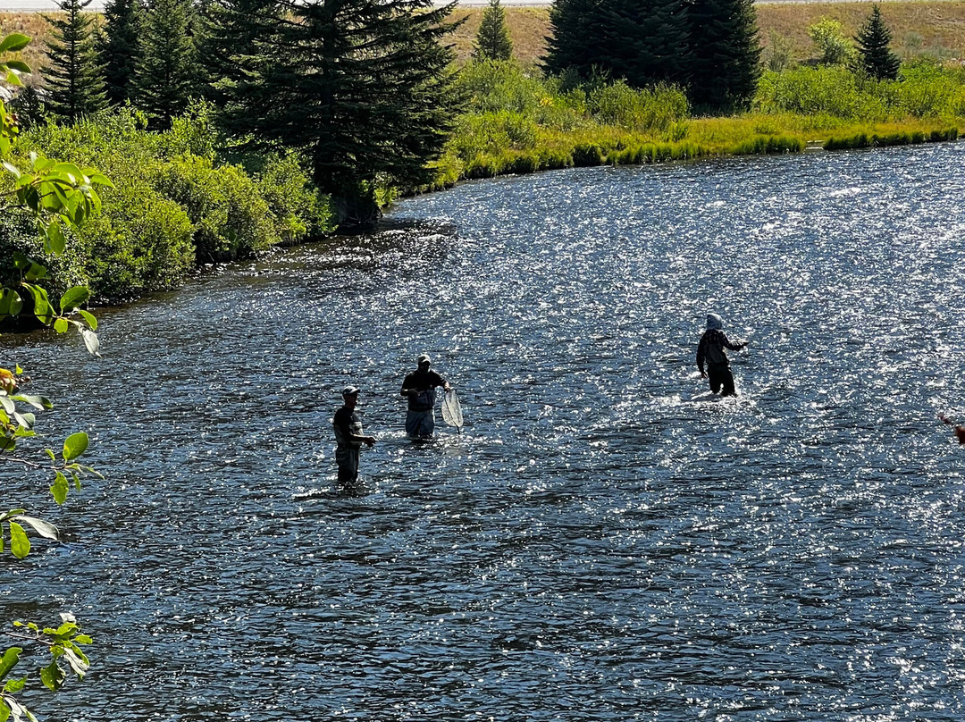 Arrick's Fly Shop, Inc.-西黄石镇必去景点