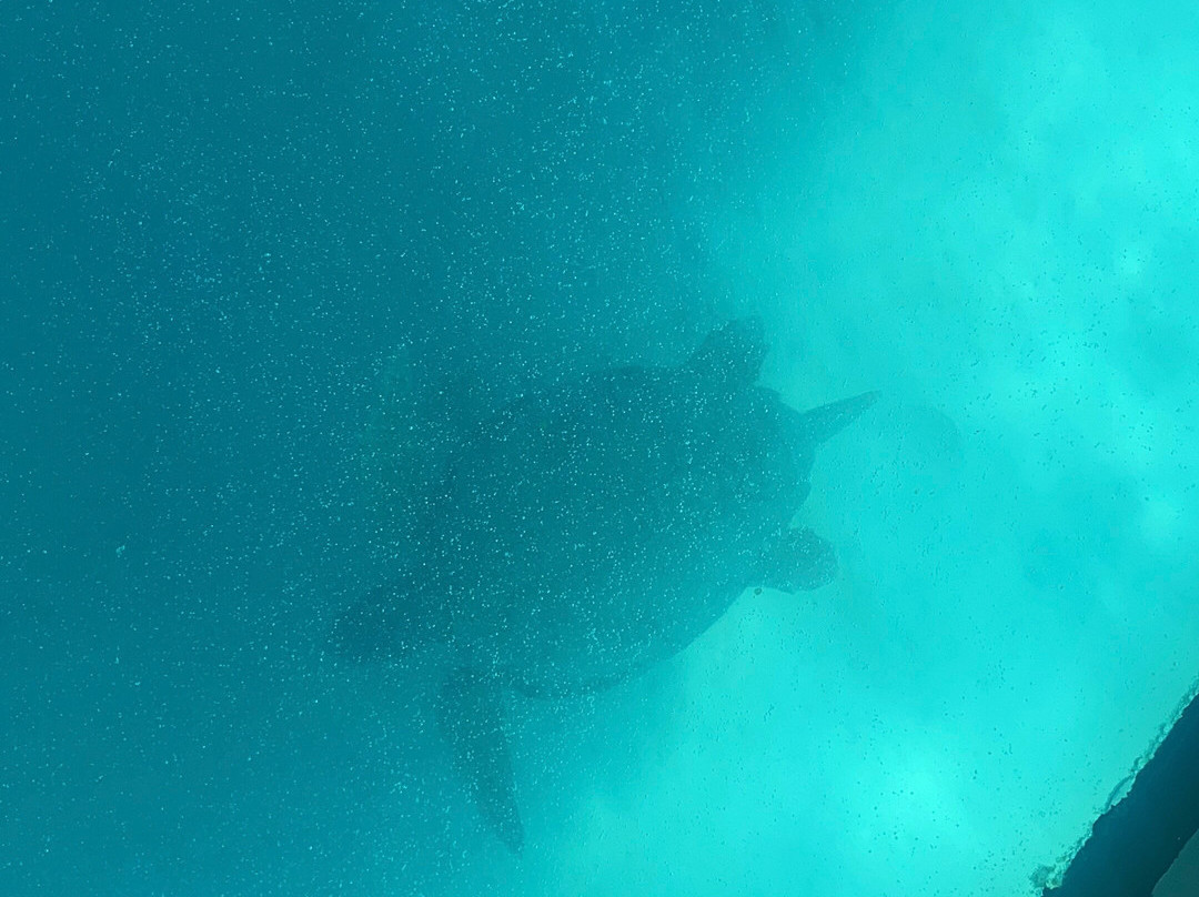 Cruisemar-Agios Sostis必去景点