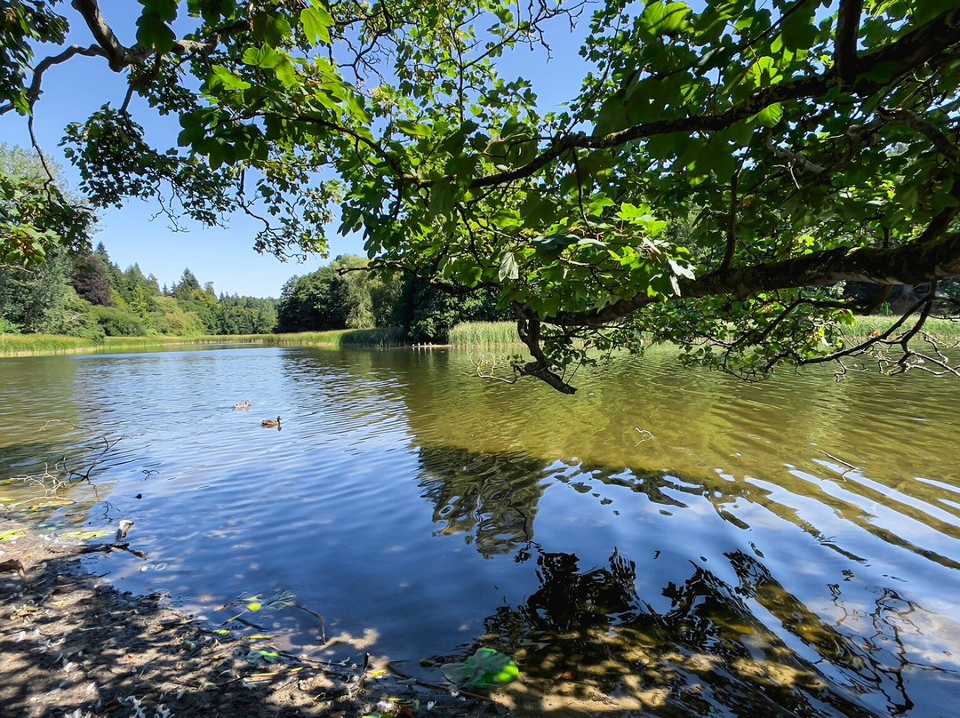 Dudmaston Estate-Bridgnorth必去景点
