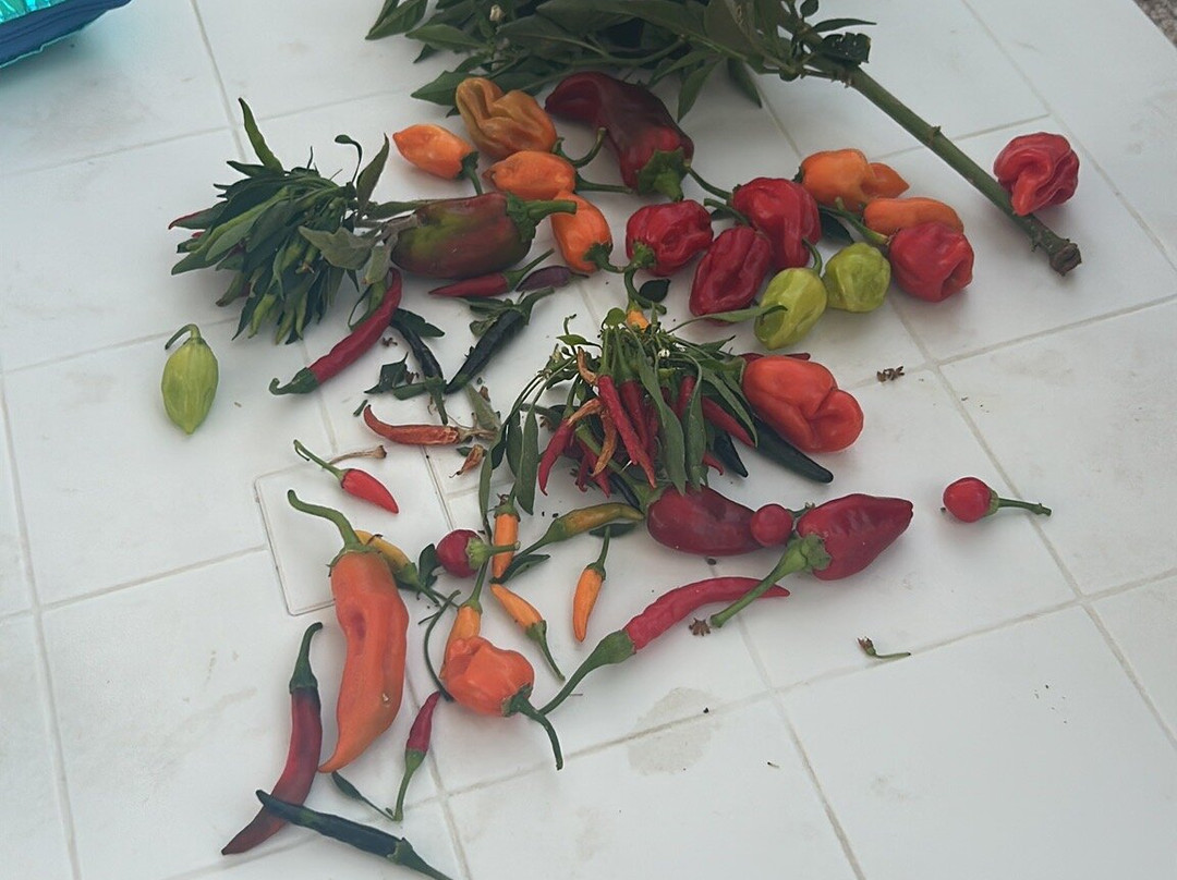 Icontadini-乌真托必去景点