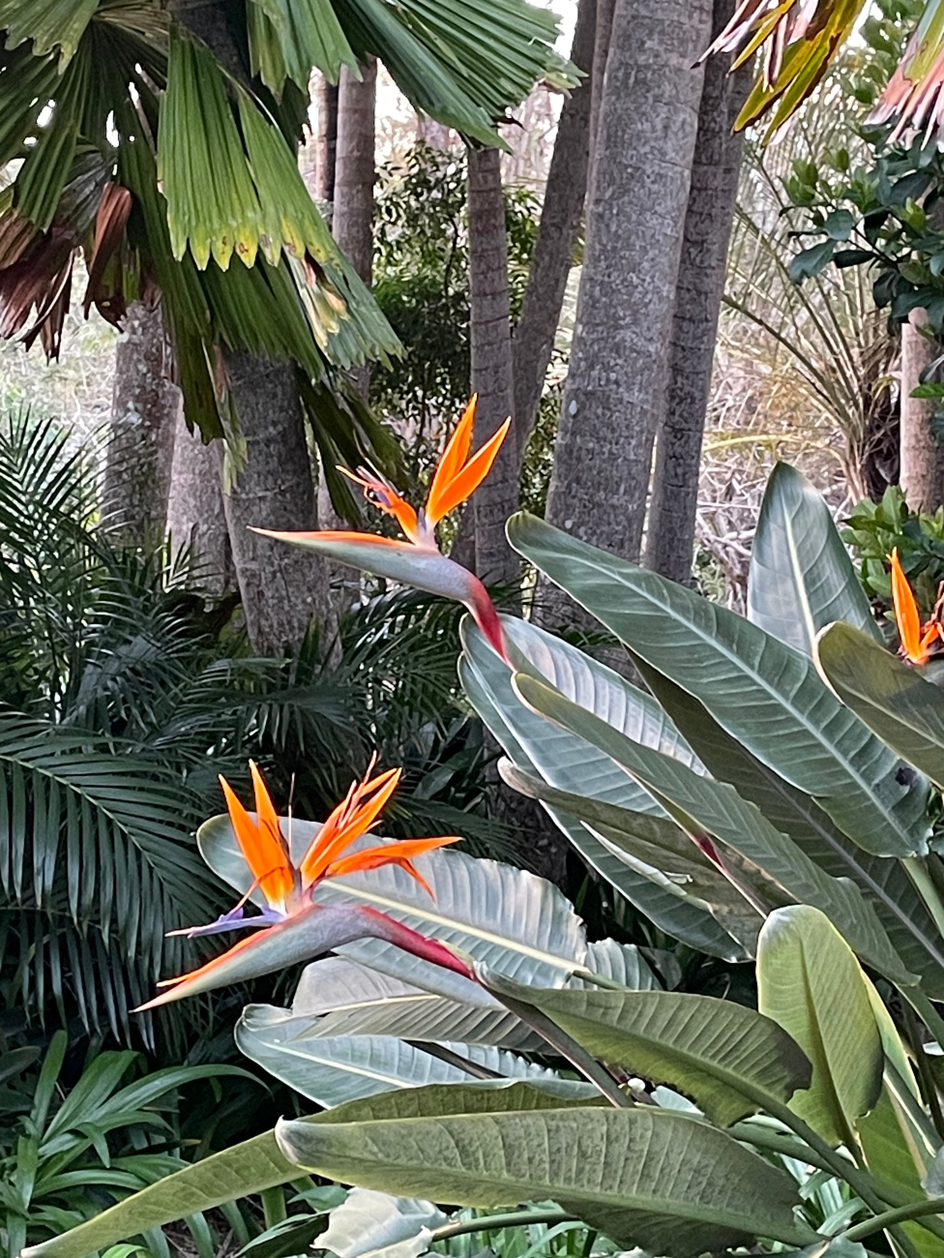 Victoria's At Ewingsdale-浴室