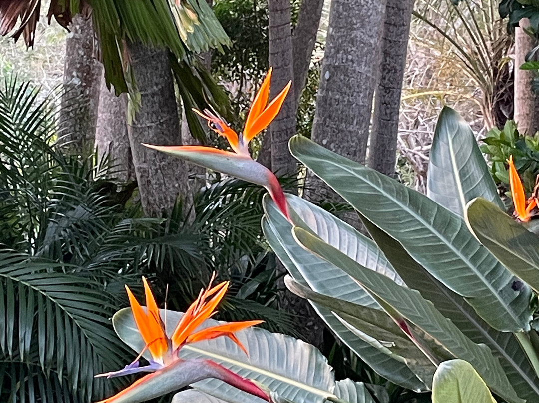 Victoria's At Ewingsdale主图