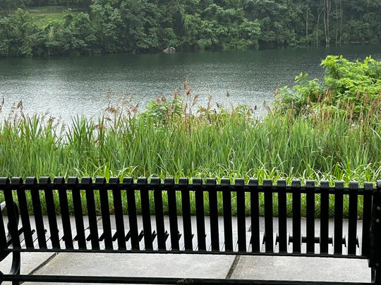 Quarry Lake-Pikesville必去景点