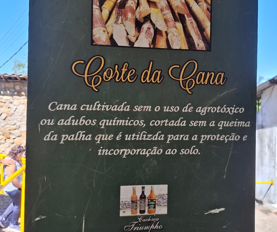 Engenho São Pedro - Cachaça Triumpho-Triunfo必去景点