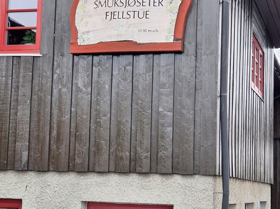 Hovringen Fjellstue主图