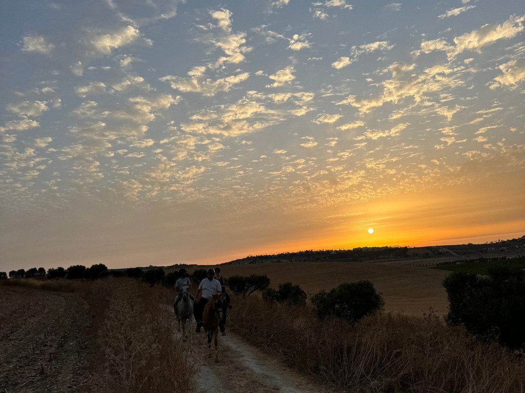 Al-Mesquid Stables-Sanlucar de Barrameda必去景点