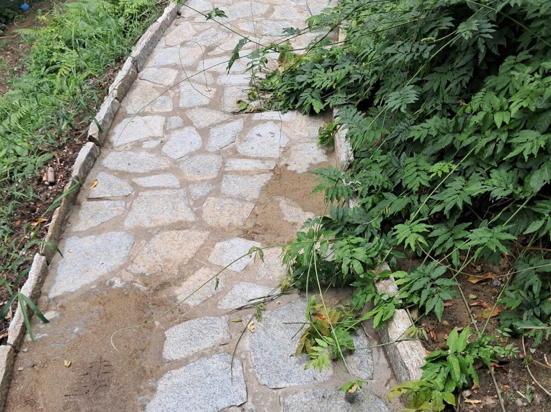 Giardino Botanico Alpinia-斯特雷萨必去景点