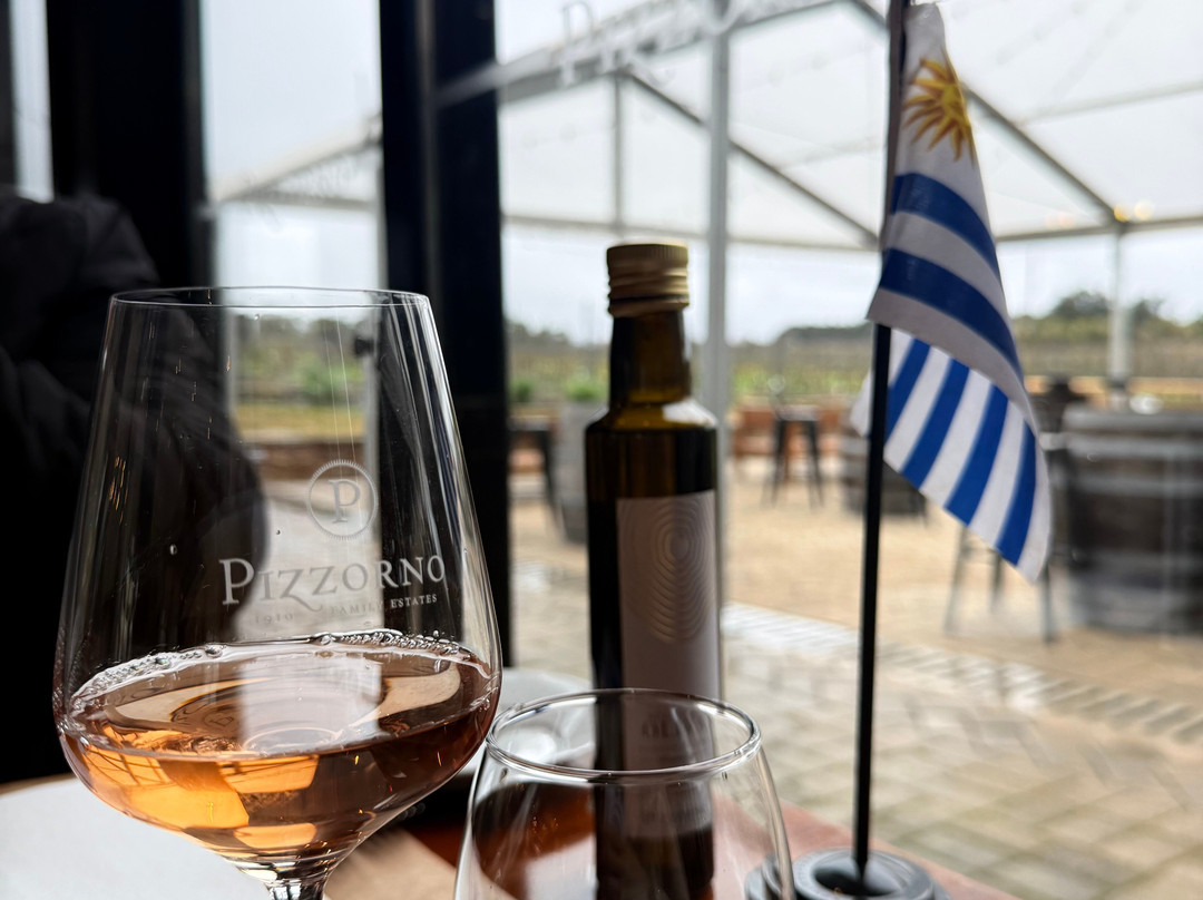 Pizzorno Family Estates-Canelones必去景点