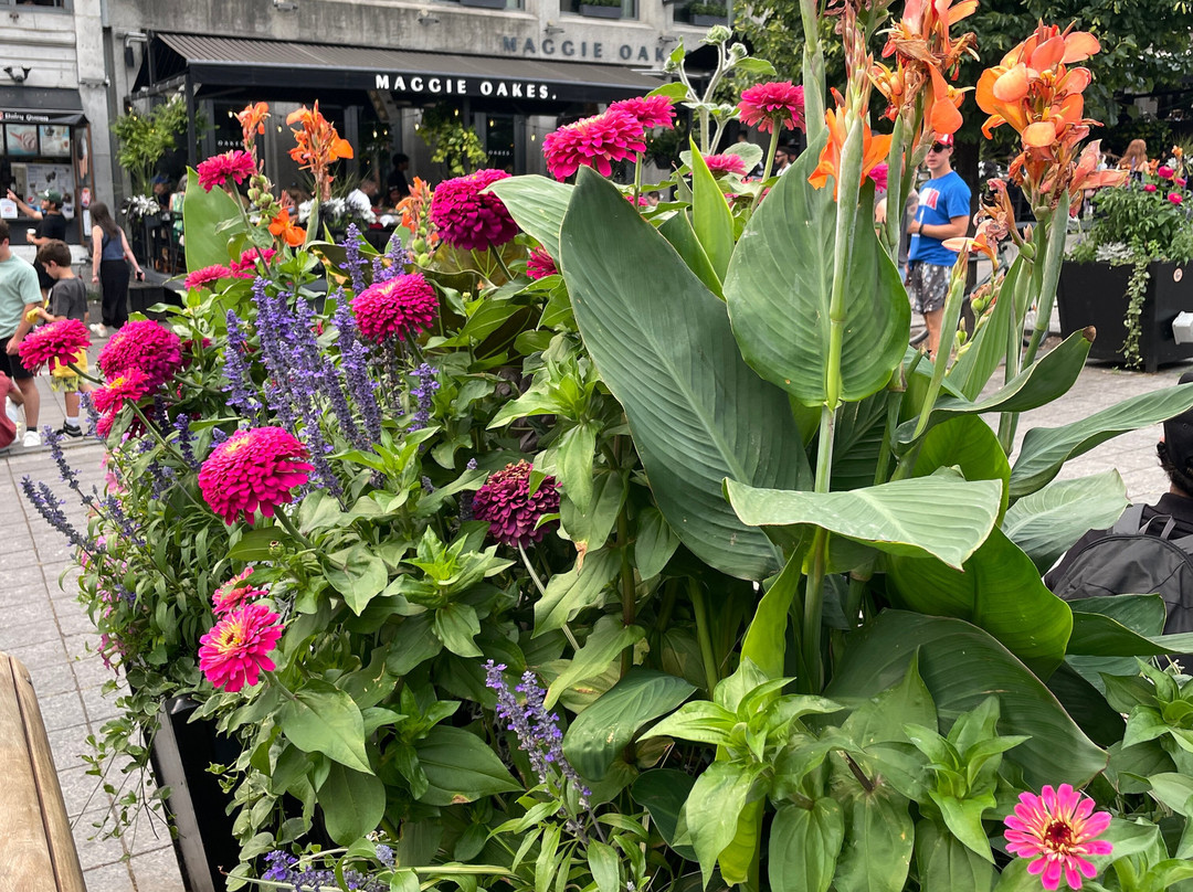 Place Jacques-Cartier-蒙特利尔必去景点