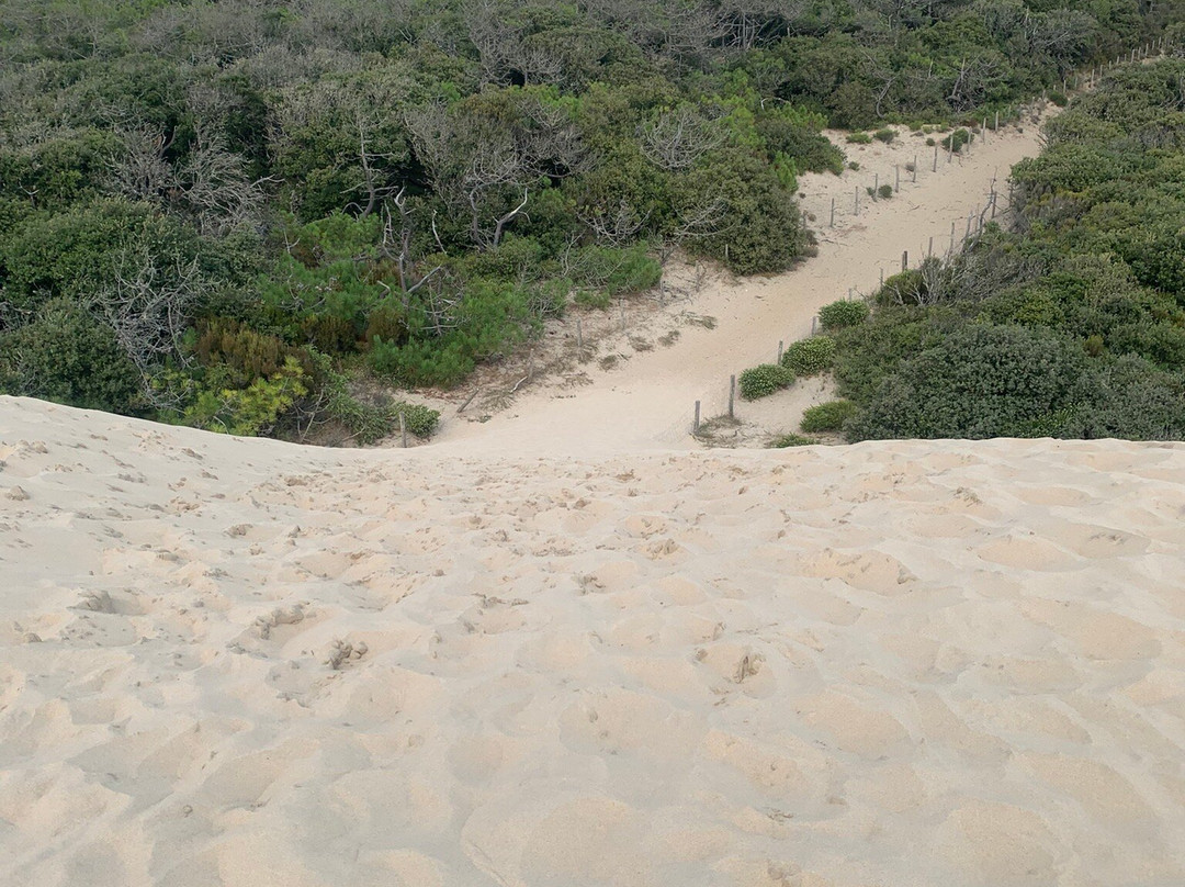 Plage de la Coubre-La Tremblade必去景点