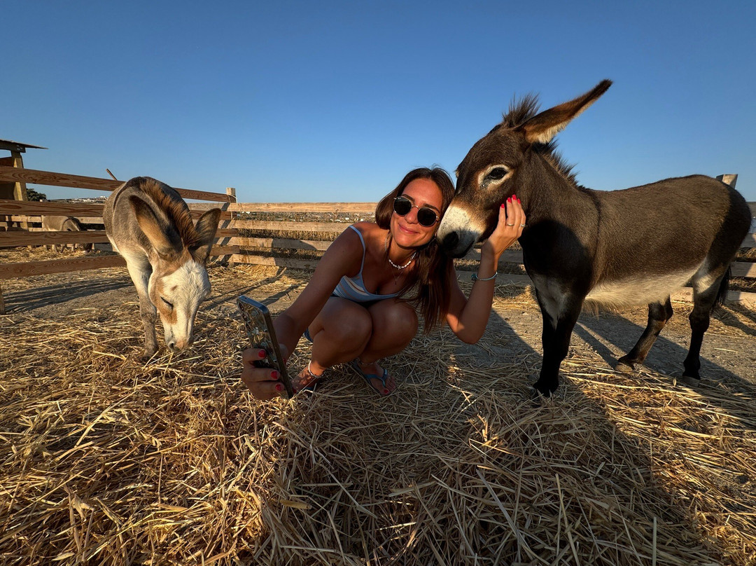 Donkey Farm Milos-Adamas必去景点