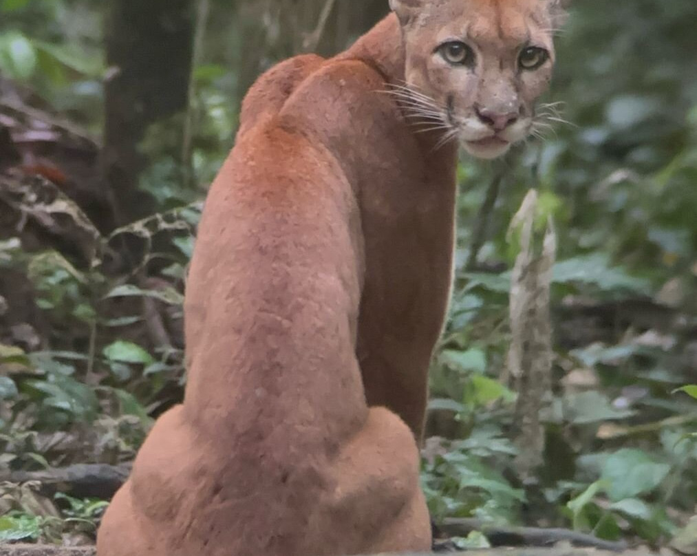 Ballena Aventura-鲸城必去景点