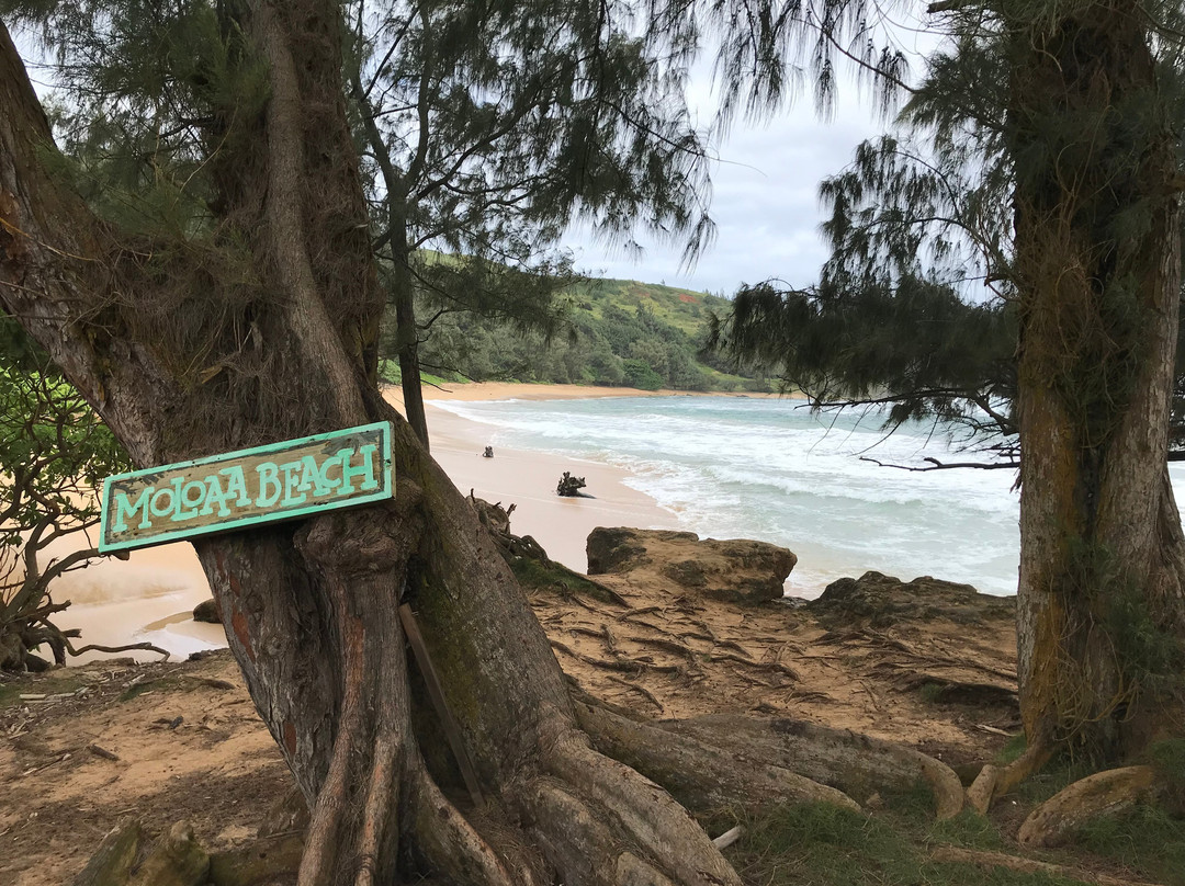 Moloa'a Beach-基拉韦厄必去景点