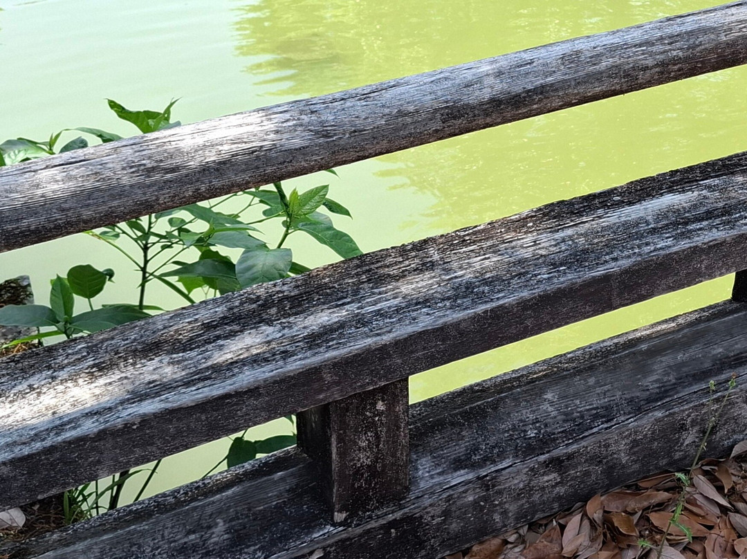Statue of Kazutoyo Yamauchi-高知市必去景点