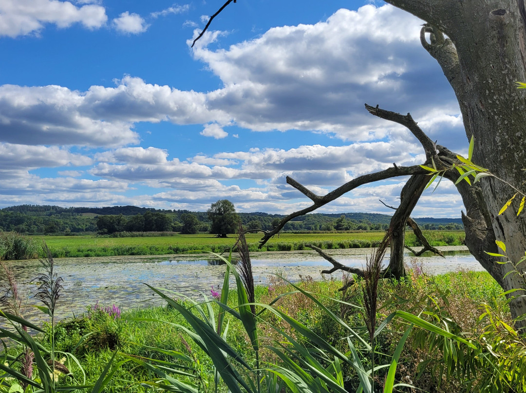 Nationalpark Unteres Odertal-Schwedt必去景点