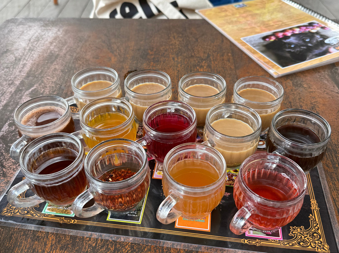 Bali Unique Driver-巴厘岛必去景点