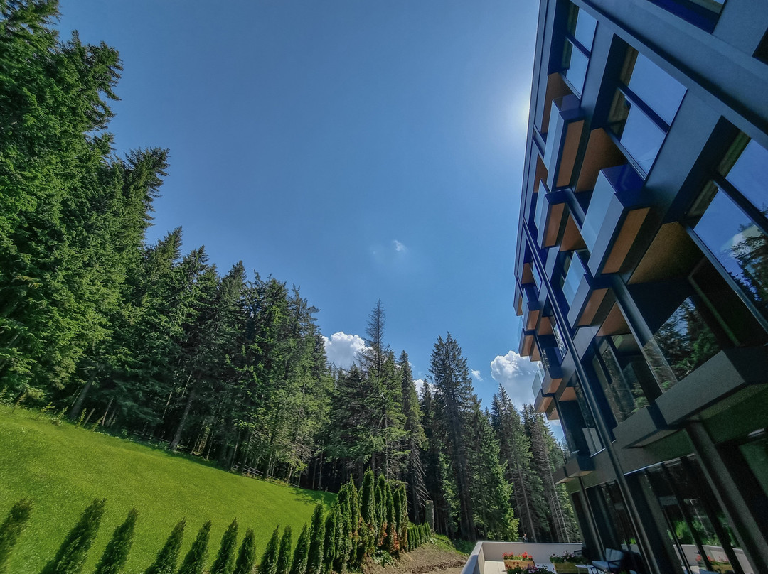Hotel Pestera Wellness & Spa *****主图