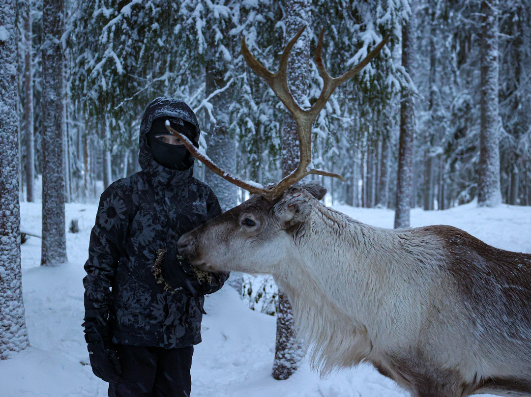 Sieriporo Safaris-罗瓦涅米必去景点
