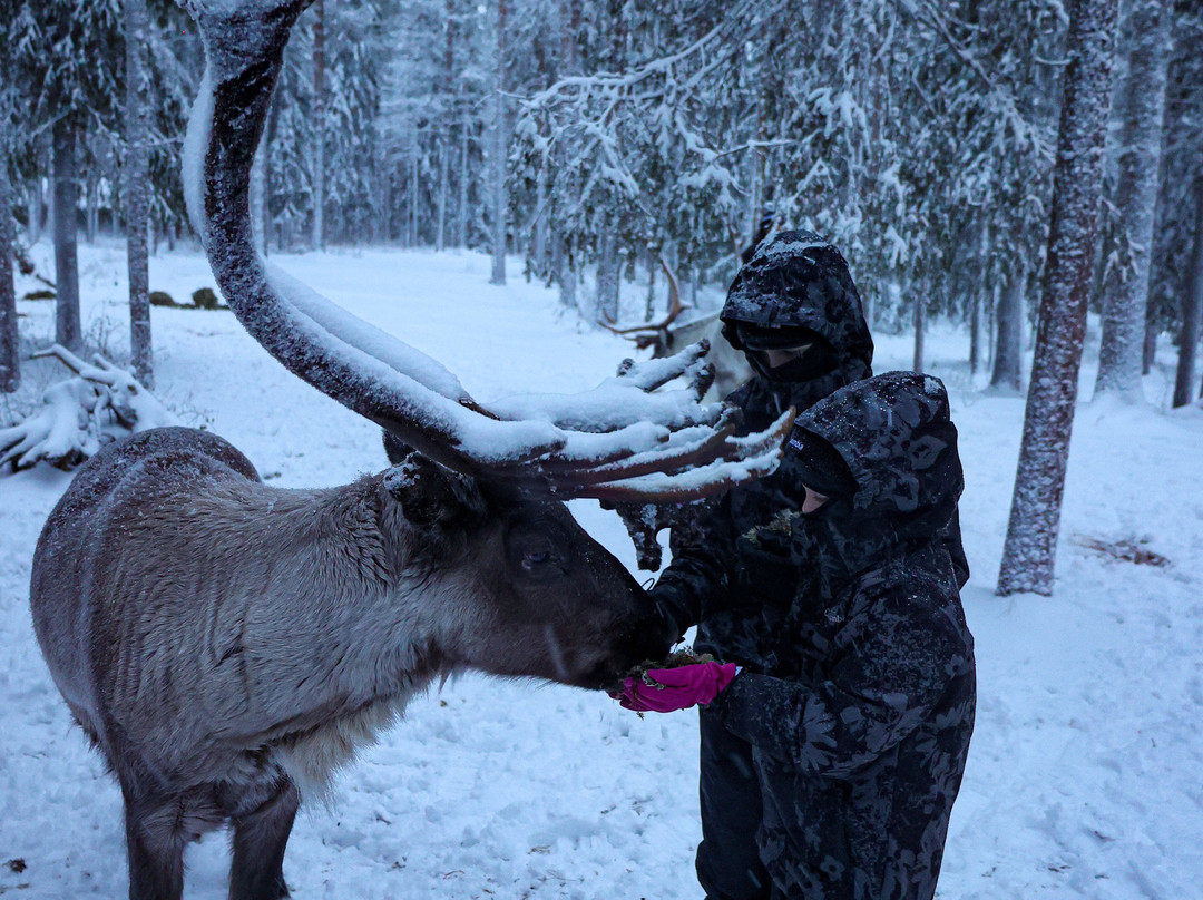 Sieriporo Safaris-罗瓦涅米必去景点