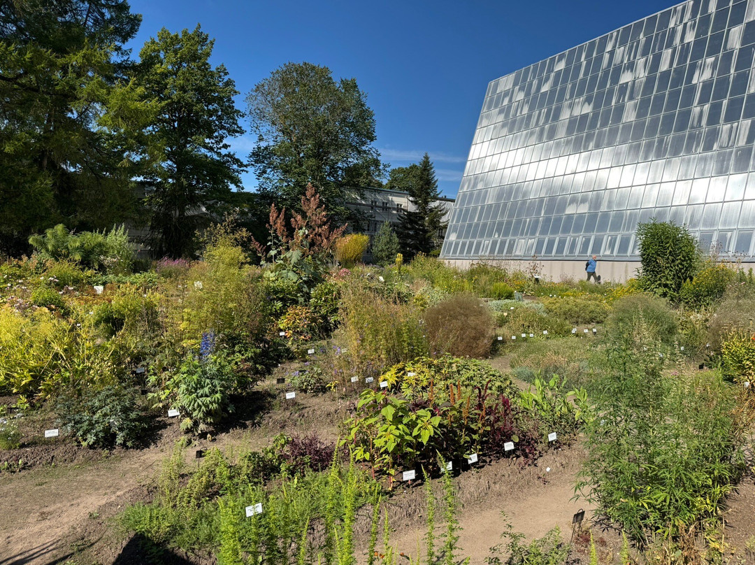 Tartu University Botanical Garden-塔尔图必去景点