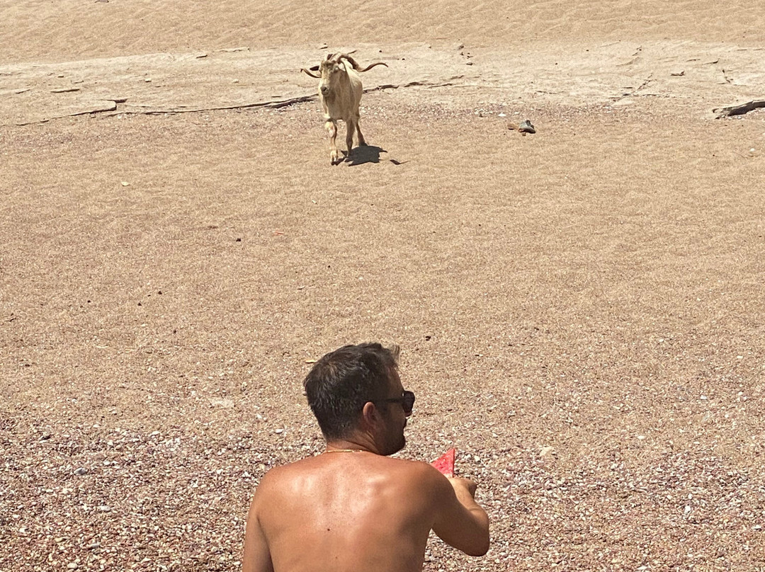 Rodos Fishing Activities-Haraki必去景点