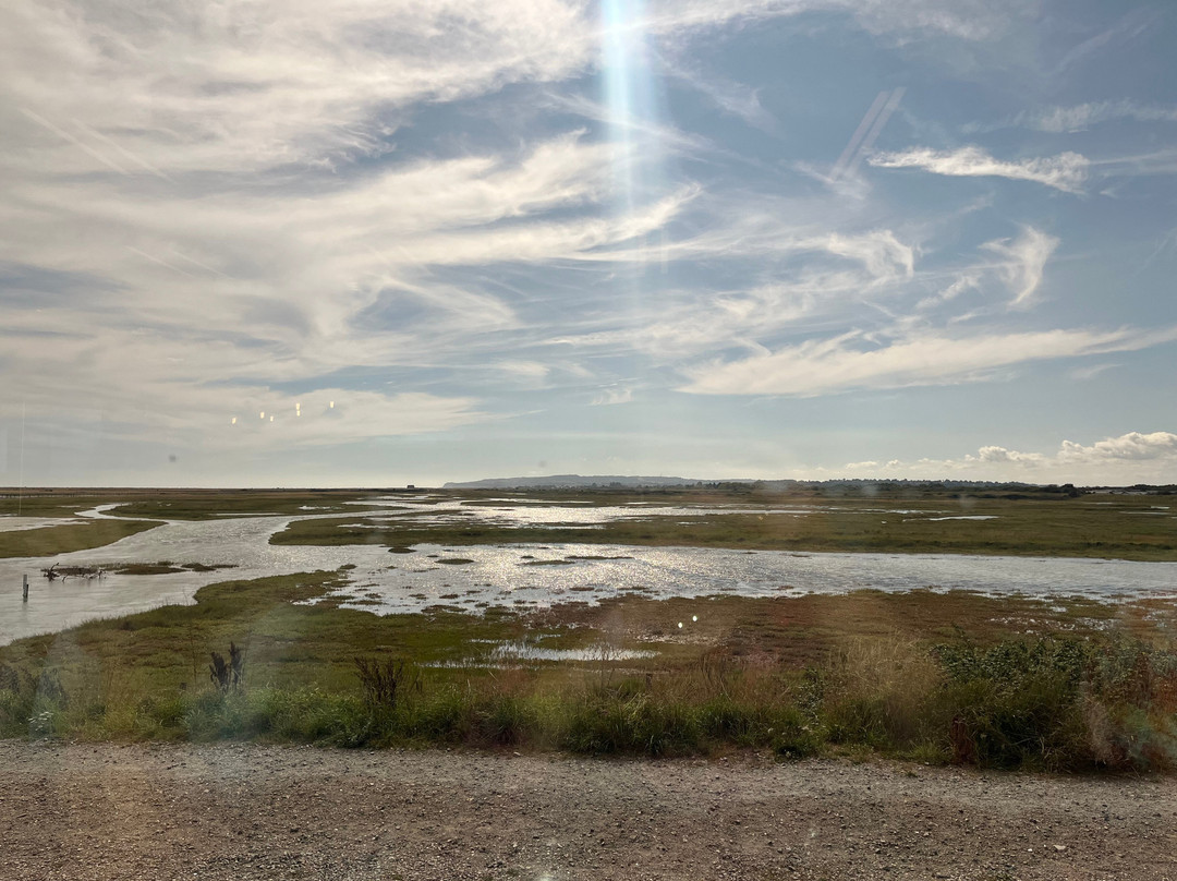 Rye Harbour Nature Reserve-拉伊必去景点
