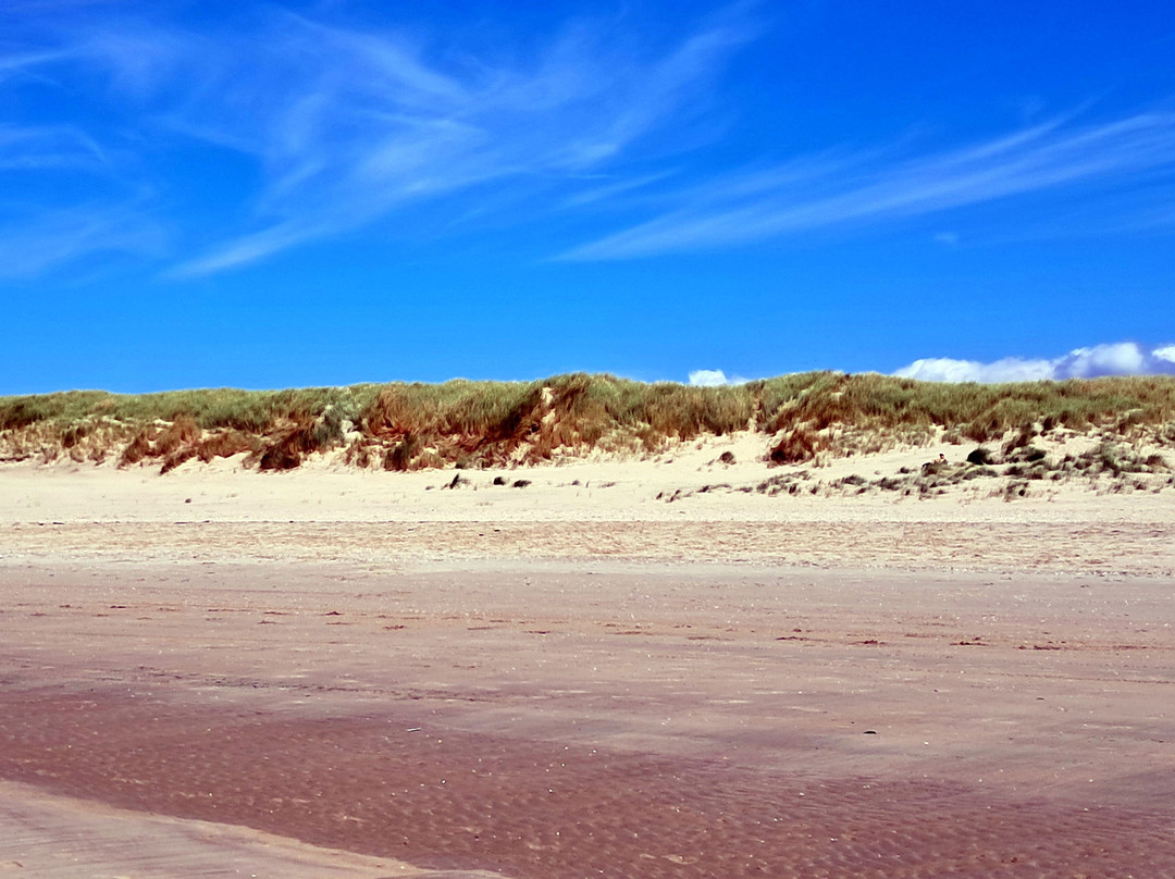 Strand Camperduin-Schoorl必去景点
