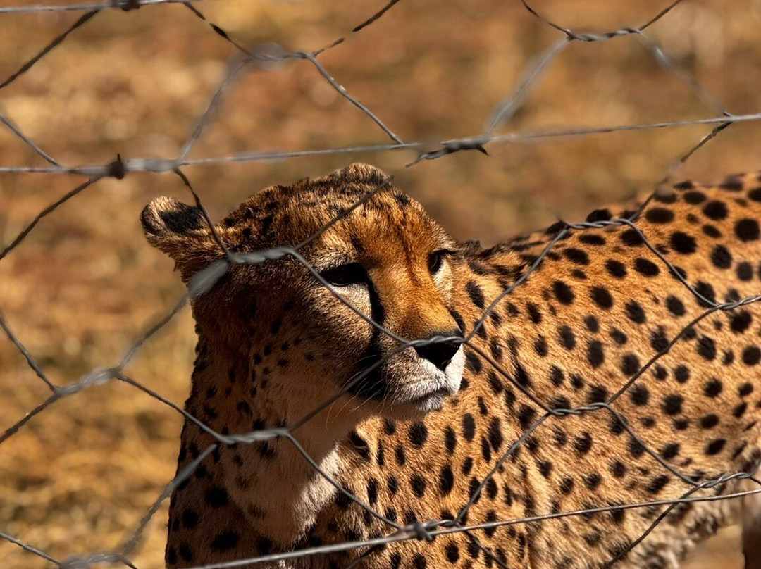Naankuse Wildlife Sanctuary-温德和克必去景点