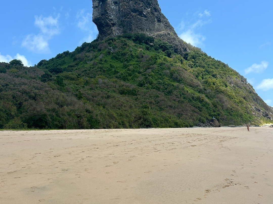 Praia da Conceição-费尔南多-迪诺罗尼亚群岛必去景点