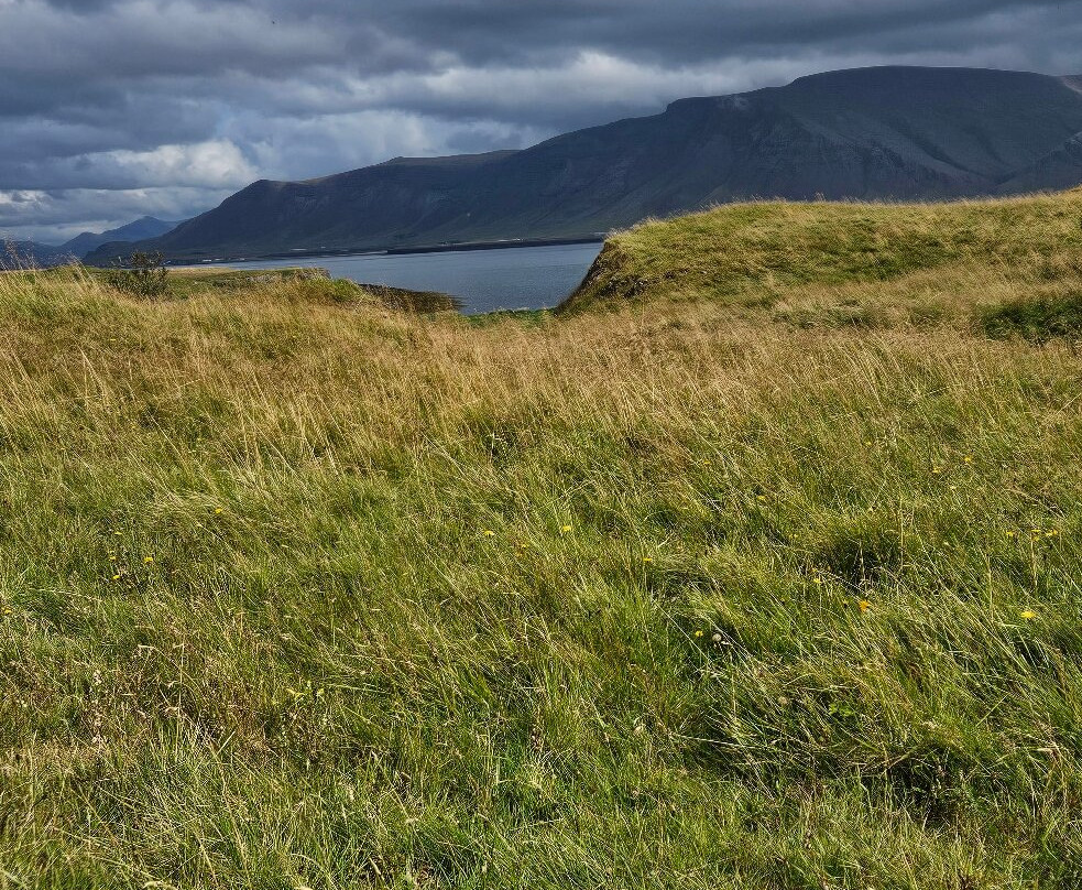 Videy Island-雷克雅未克必去景点