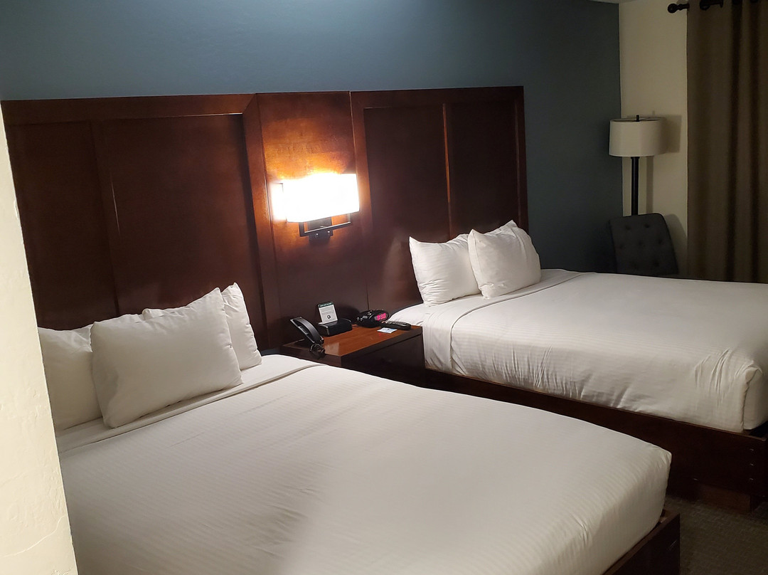 红羽汽车旅馆主图