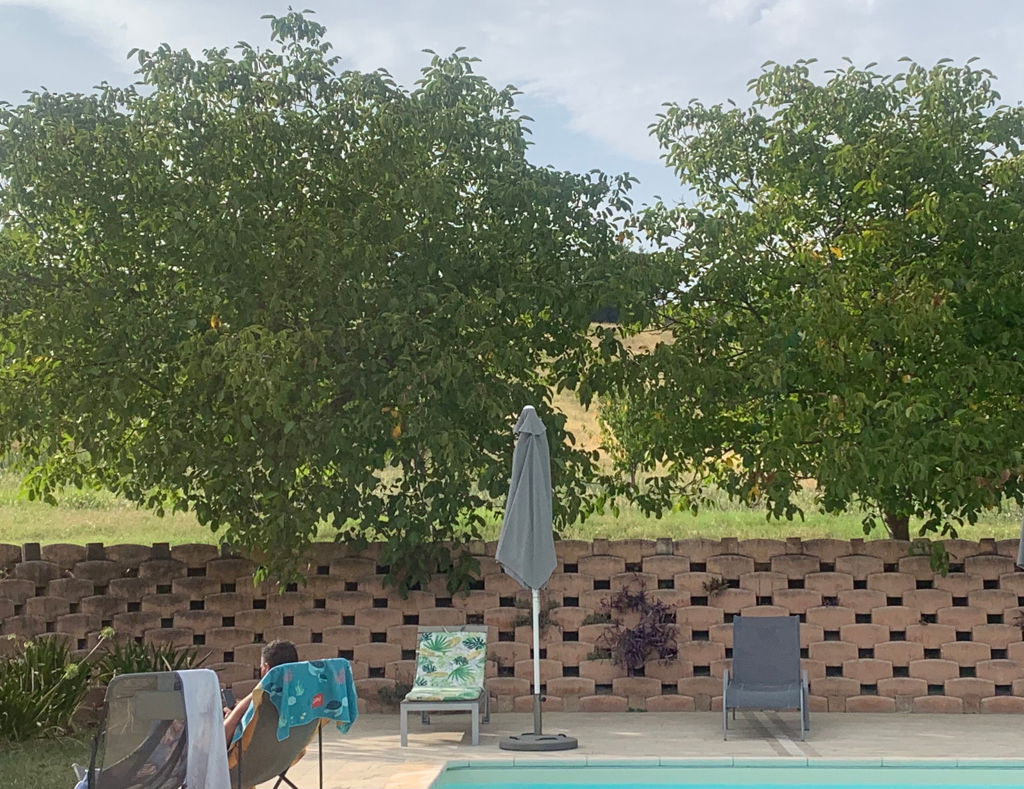 Agriturismo Forestale Luti-官方