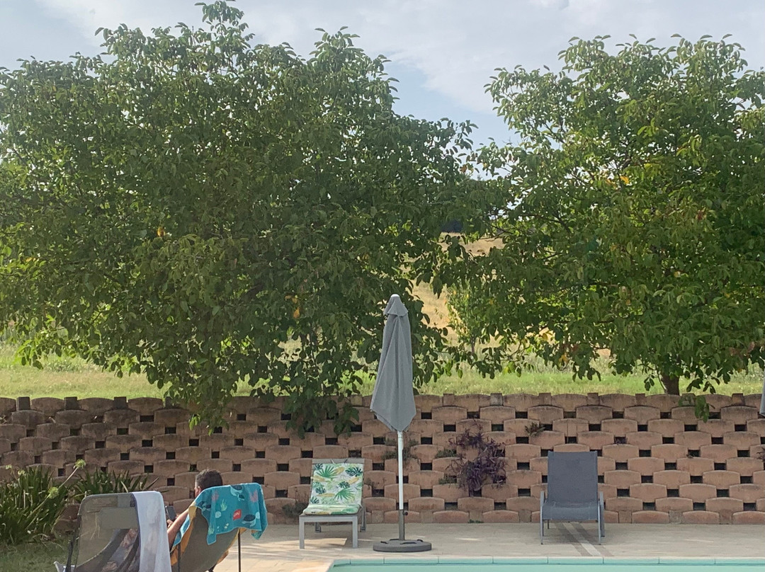 Agriturismo Forestale Luti主图