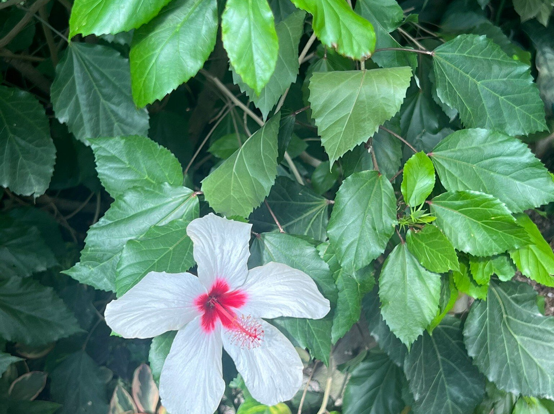 The Butterfly House-维也纳必去景点
