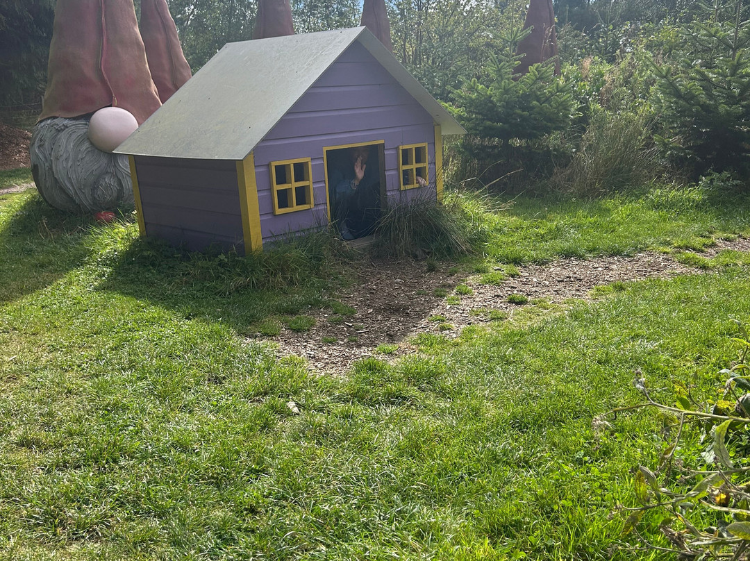 Wynford Farm Playbarn-Kingswells必去景点