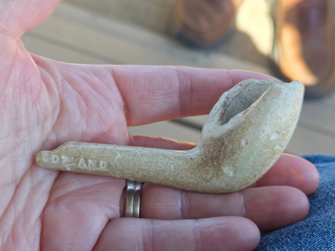 Salty Dog Sea Tours-Oak Island必去景点